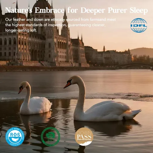 Vista 3 de Edredón tamaño Queen, edredón de plumón de ganso blanco, relleno de edredón de algodón, ultra suave, transpirable, para todas las estaciones