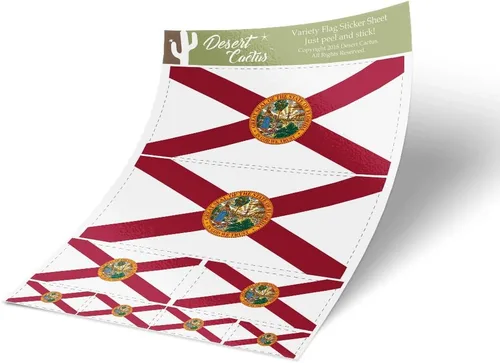Calcomanía de la bandera del estado de Florida FL, paquete de 8 unidades en total con logotipo de niños, álbum de recortes, automóvil, ventana,