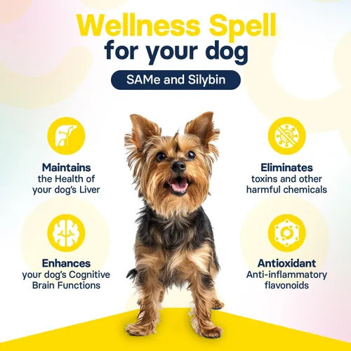 Vista 6 de Suplemento de salud hepática para perros pequeños, cardo mariano para perros, soporte hepático con S-adenosilmetionina (same) y silybina, 30 tabletas