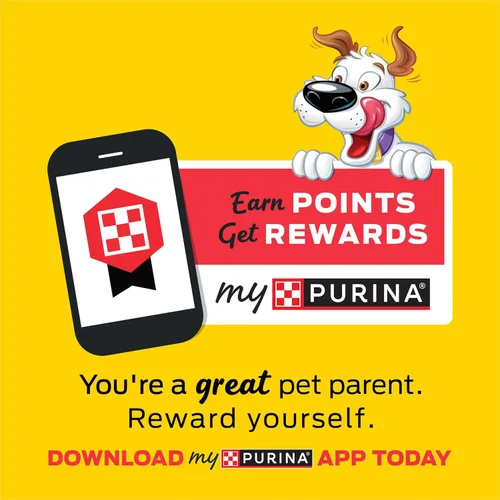 Vista 8 de Purina Beggin' Con golosinas de carne real para perros, tamaño divertido original con sabor a tocino, bolsa de 25 onzas