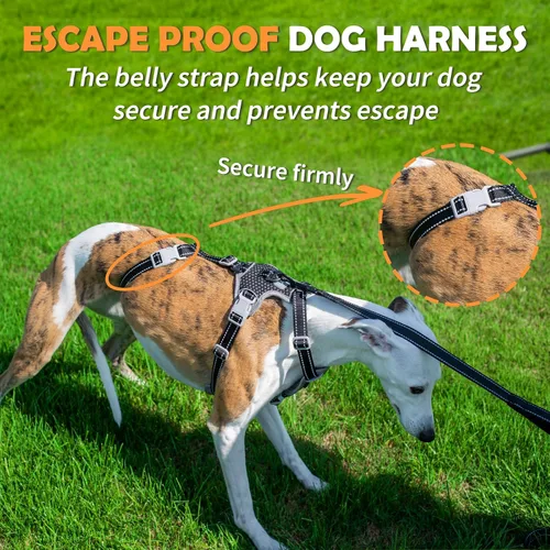 Vista 3 de Huntboo Arnés para perro a prueba de escapes, sin tirones, antideslizante, totalmente reflectante, diseño ajustable de 7 puntos para perros Verde