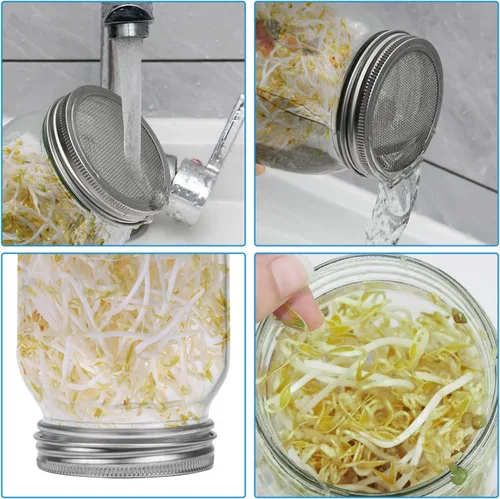 Vista 6 de Lulonpon Juego de 2 tarros para cultivar brotes, tarros de boca ancha de un cuarto de galón con tapas de germinación de pantalla de acero