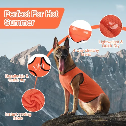 Vista 4 de Paquete de 2 camisas refrescantes para perros, ropa de malla ligera transpirable para perros pequeños, niños y niñas, camisas sin mangas