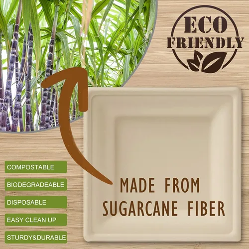 Vista 2 de Platos desechables de 6 pulgadas, paquete de 50 platos cuadrados 100% compostables, platos de bagazo biodegradables y ecológicos, platos de cena