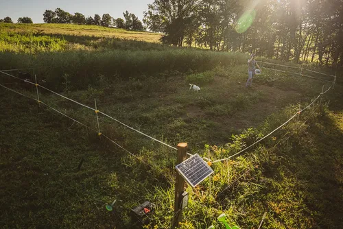 Vista 8 de Hooyman Valla eléctrica de jardín y parcela de alimentos de Hot Zone, cierre de ciervo con sistema de panel solar, postes de fibra de vidrio