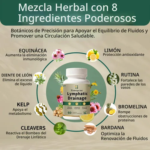 Vista 2 de Suplemento de drenaje linfático – Fórmula herbaria natural con diente de león, bardana y equinácea, apoya el equilibrio de líquidos, salud inmune