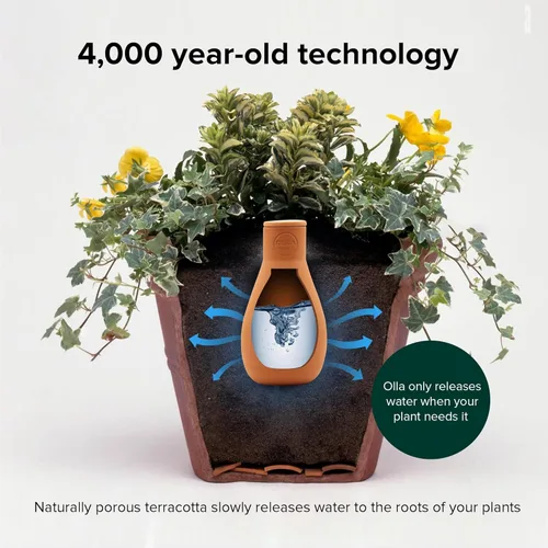 Vista 6 de The Olla Company Maceta de Riego Olla Clásica con Tapa - Irrigación Automática de Terracota hasta 1 pie de Diámetro para Jardines, Camas Elevadas