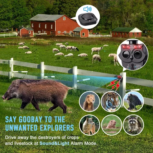 Vista 6 de Receptor de Alarma de Entrada Solar Suplementario (Solo Receptor)