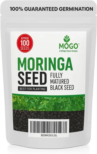 100 Semillas de Moringa Aproximadamente | Semillas de Moringa para Plantar | Comestibles, Excelente Germinación | Grado Premium PKM1 | Semillas de