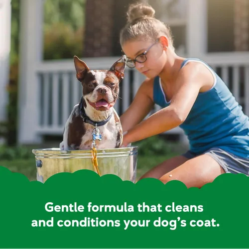 Vista 2 de Buddy Grooming Wash Champú 2 en 1 para perros, té verde y bergamota, botella de 16 onzas