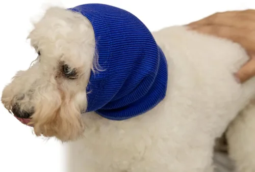 Vista 7 de Paquete de 6 fundas para orejas de perro, para el cuello del perro, protector para las orejas del perro, para mayor comodidad, alivio de la ansiedad