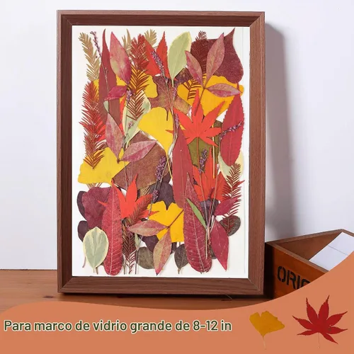 Vista 6 de Large Bulk Fall Dried Pressed Leaves for Craft, Real Dry Natural Flower Leaf Daisy for Resin Mold, Cake Decor, Phone Cases (Autumn Leaves)