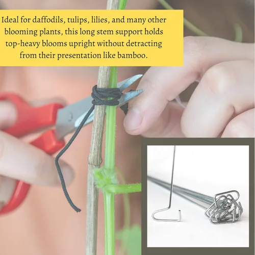 Vista 2 de Orchid Nerd Orquídea de alambre soporta 13 pulgadas, soporte de alambre de orquídea, paquete de 10