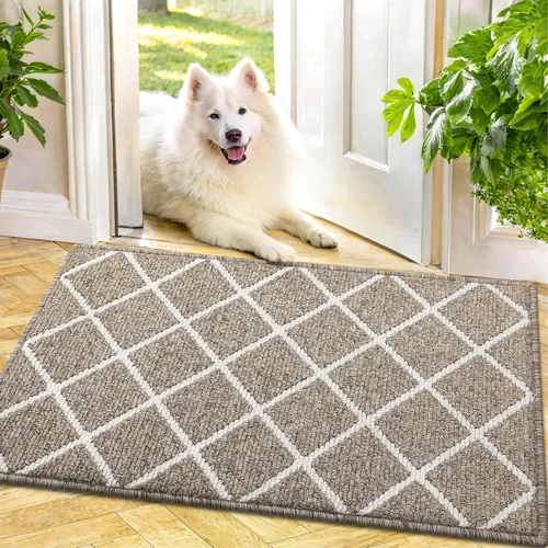 Vista 46 de Finchitty Alfombra para Puerta Interior, Resistente a la Suciedad y Absorbente, de Perfil Bajo, Antideslizante, Lavable, Alfombras de Piso