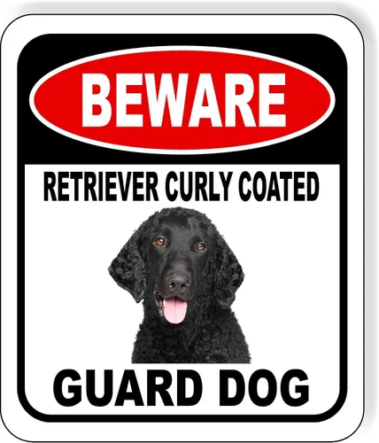 Vista 108 de BEWARE BASSETT HOUND GUARD DOG - Letrero compuesto de aluminio para exteriores, 8.5 x 10 pulgadas