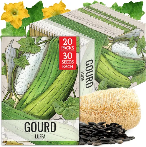 Vista 31 de Seed Needs, Burgess Buttercup - Semillas de calabaza de invierno, 25 semillas tradicionales para plantar Cucurbita Pepo, sin OMG y sin tratar