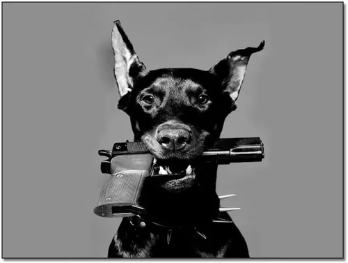 HDYDJS Doberman Pinscher - Póster estético de pistola blanca y negra, pósteres e impresiones artísticas de pared para sala de estar, dormitorio
