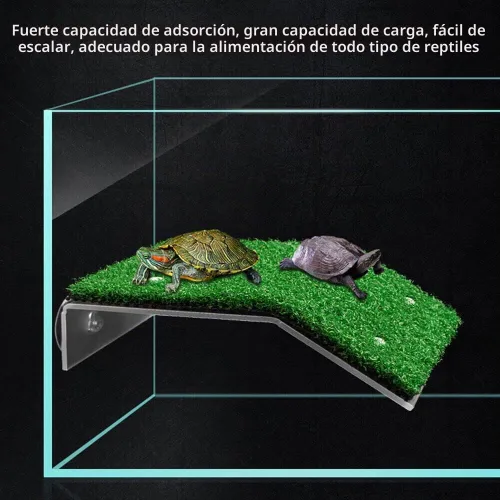 Vista 2 de Plataforma para tomar el césped descansando en el césped, plataforma para tomar el sol, simulación, rampas para césped, hábitat, terraza, accesorios
