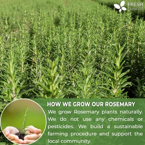 Vista 534 de FreshDrinkUS, 135 bolsas de té de jengibre y cúrcuma premium, ingredientes 100% naturales, mezcla hecha a mano de té de hierbas de cúrcuma