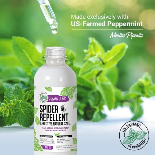 Vista 4 de Mighty Mint Aceite de menta repelente de arañas de 8 onzas, espray natural para arañas, insectos y más (paquete de 2)
