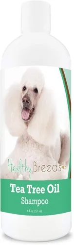 Vista 67 de Healthy Breeds Chow Chow Champú de aceite de árbol de té, formulado para pieles secas e irritadas, reduce la caspa, aroma de gaulteria, 8 onzas