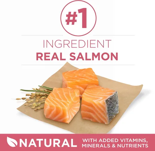 Vista 2 de Purina ONE Alimento seco natural para perros con estómago sensible, fórmula +Plus para piel y pelaje, bolsa de 8 libras