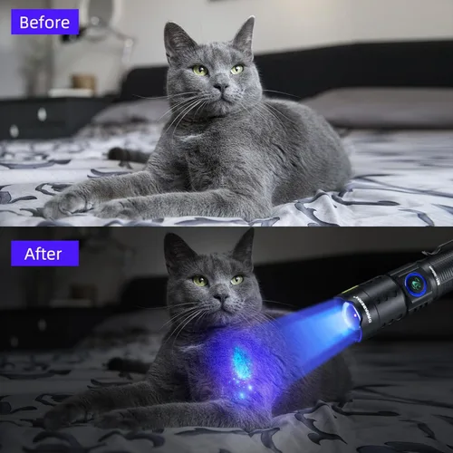 Vista 5 de DARKBEAM Linterna UV de 365 nm LED de luz negra, linternas ultravioleta, potente lámpara recargable USB -C Woods, resistente al agua enfocable