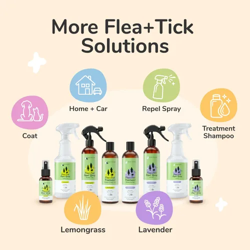 Vista 9 de kin+kind Aerosol para pulgas y garrapatas para perros, espray de pulgas a base de plantas con aceite de romero, lavanda y madera de cedro