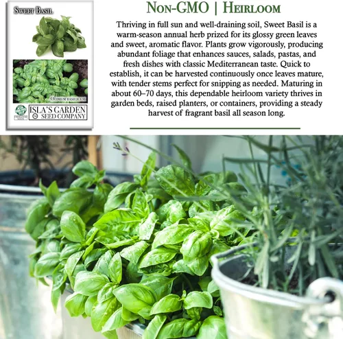 Vista 3 de Sweet Basil Seeds (Ocimum basilicum) – 250+ Non-GMO & Heirloom Seeds by Isla’s Garden Seeds, Classic Aromatic Culinary Herb, Fast-Growing Variety