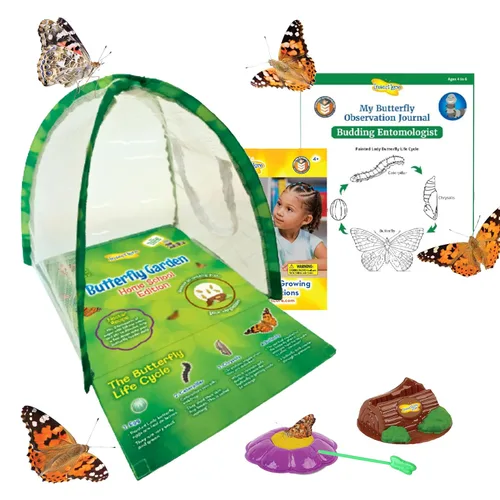 Insect Lore Butterfly Garden Experience | Vale prepagado sin cargo | Canjee Raise and Release 5 Baby Painted Lady Caterpillars | Hábitat de