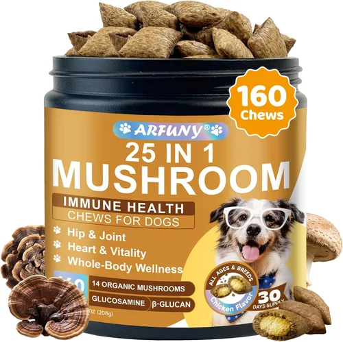 Masticables de hongos para perros – Hongo de cola de pavo para perros bultos y protuberancias – intestino, cadera, articulaciones, piel, abrigo,