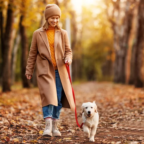 Vista 2 de Clips de metal de doble extremo para cadena de gatillo de perno para cubo de agua, cubo de alimentación de mascotas, correa para perros agrícolas