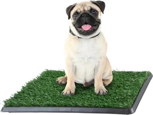 Vista 4 de Alfombra de baño de césped artificial para cachorros y mascotas pequeñas
