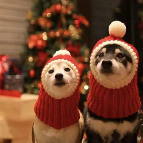 Vista 2 de POPETPOP Sombrero de Navidad para perro, acogedor gorro de invierno cálido de ganchillo para perro, sombrero grueso para cachorros, gorro pequeño