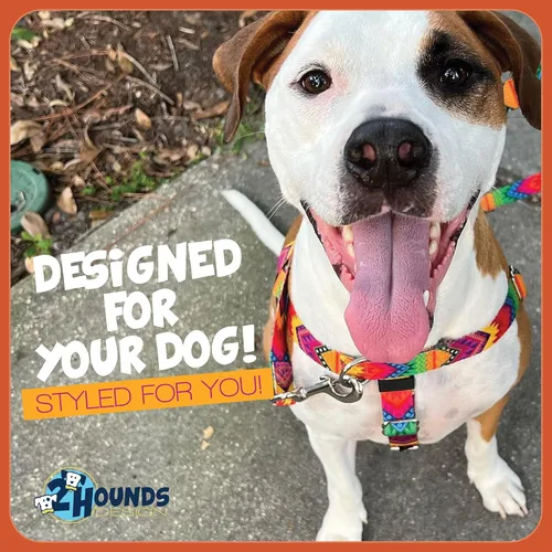 Vista 7 de 2 Hounds Design Freedom - Arnés para perro sin tirones, arnés ajustable, fácil de caminar y control cómodo, se adapta a perros pequeños, medianos