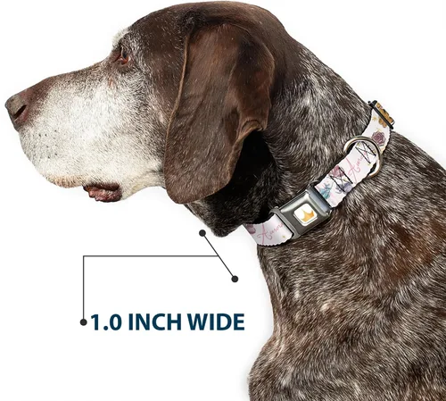 Vista 6 de Collar de perro con hebilla para cinturón de seguridad, la bella durmiente Aurora y las hadas madrinas posan con escritura de 9.5 a 13 pulgadas, 1.0