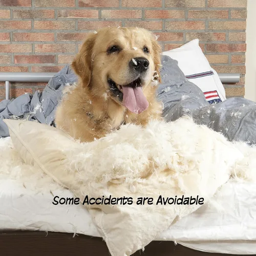 Vista 6 de Puerta para Mascotas de Interior - Puerta Plegable de 3 Paneles para Perros para Escaleras o Entradas - Cerca Independiente para Mascotas de 54x32