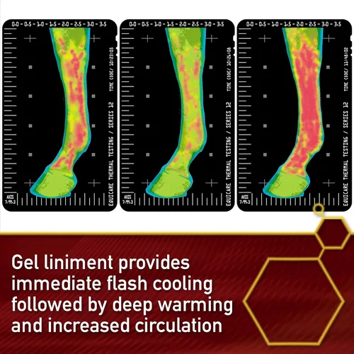 Vista 5 de Vita Flex Thermaflex Liniment Gel para dolores musculares y alivio articular en caballos, 12 onzas líquidas