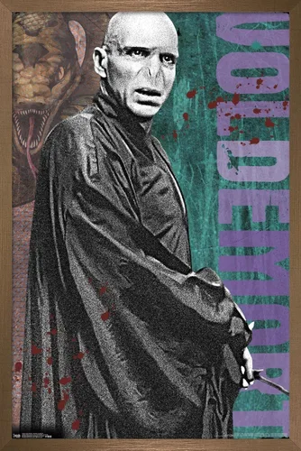 Vista 15 de Trends International The Wizarding World: Harry Potter - Póster de pared de Voldemort con varita, 22.4 pulgadas de largo x 14.7 pulgadas, versión