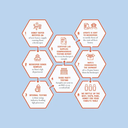 Vista 7 de Nate's - Miel 100% pura, cruda y sin filtrar - Sabor galardonado, botella exprimible de 16 onzas (paquete de 6)