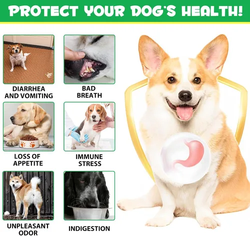 Vista 7 de Probióticos para perros, 180 probióticos masticables para perros y enzimas digestivas, promueve la salud intestinal, para el apoyo intestinal, salud
