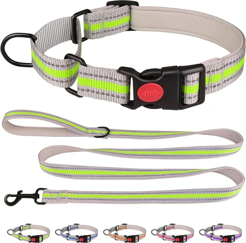 Vista 9 de Collar Martingala para perros, juego de collar y correa Martingala reflectante acolchado de neopreno suave con hebilla de seguridad, collar Azul