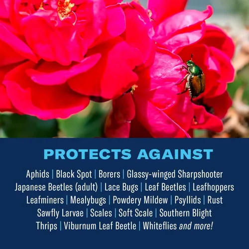 Vista 9 de BioAdvanced Fertilizante todo en uno para el cuidado de rosas y flores, concentrado, 32 onzas