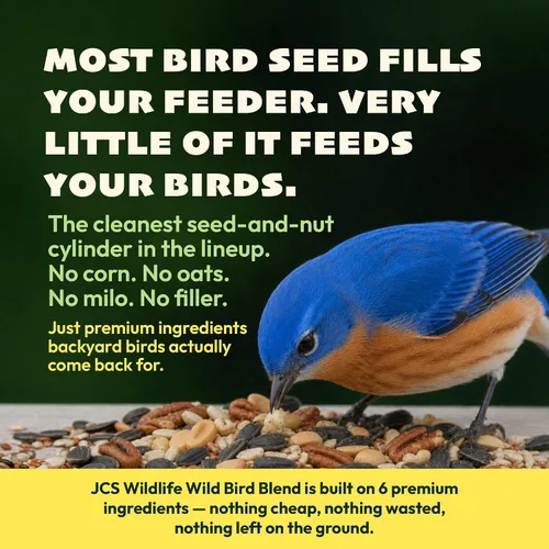 Vista 2 de JCs Wildlife Wild Bird Blend - Cilindro pequeño de semillas de pájaro, 1.5 libras (12 cilindros)