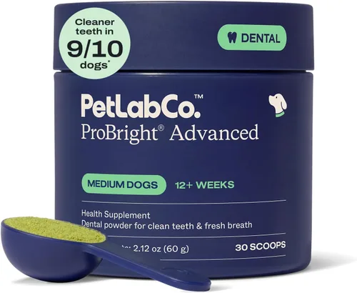 Vista 13 de PetLab Co. ProBright Advanced Dental Powder - Ambientador de aliento para perros - Limpieza de dientes hecha fácil - Combate el sarro y el mal