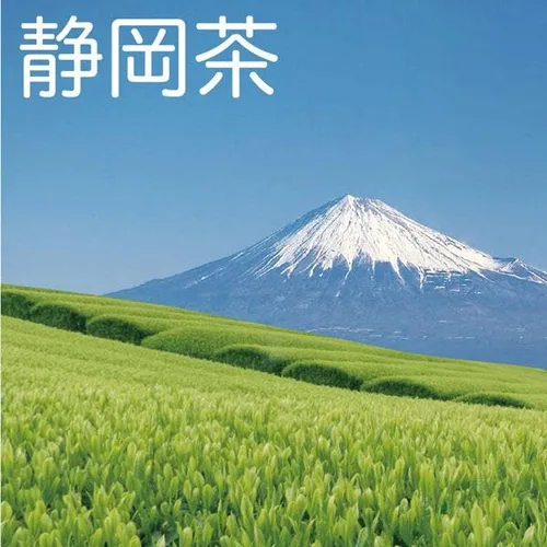 Vista 5 de Sencha Té verde de hojas sueltas japonés 11.74oz (333g)