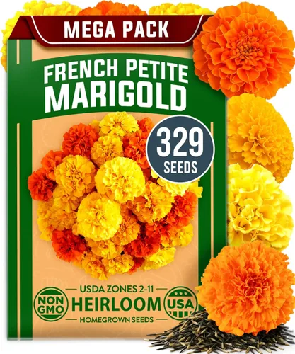 Vista 36 de Bóveda de 10 semillas de hierbas culinarias - Semillas criollas y sin transgénicos – Más de 3000 semillas para plantar en jardín de hierbas exterior