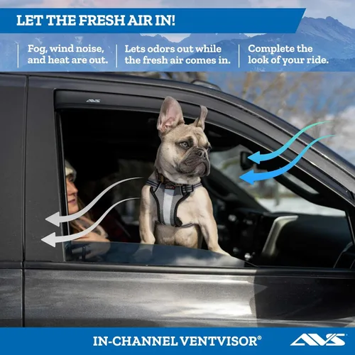 Vista 2 de Auto Ventshade [AVS] Protectores de lluvia en canal para Nissan Pickup 1987-1997; Pathfinder 2 1987-1990 - Puerta Viseras de ventilación