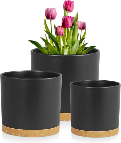Vista 13 de Meowell Juego de 3 macetas cilíndricas de 15/13/10 cm para plantas pequeñas de interior y exterior, macetas de plástico con agujeros de drenaje