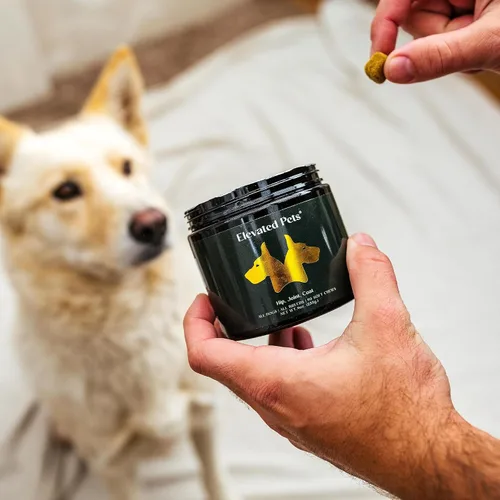 Vista 5 de Golosinas de aceite de pescado omega 3 ultra saludables con MSM, glucosamina, condroitina, EPA/DHA para perros: aceite de pescado Elevated Pets